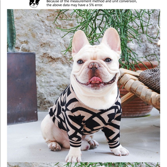 fendi dog sweater